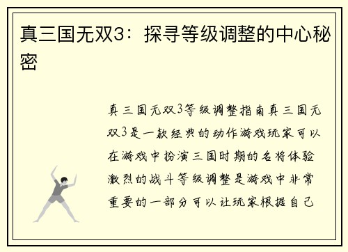 真三国无双3：探寻等级调整的中心秘密